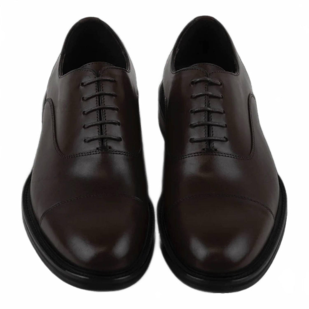 men's diogenes shoe in brown