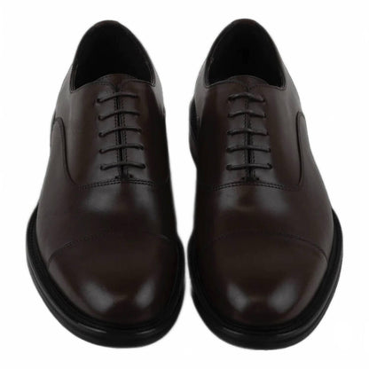 men's diogenes shoe in brown