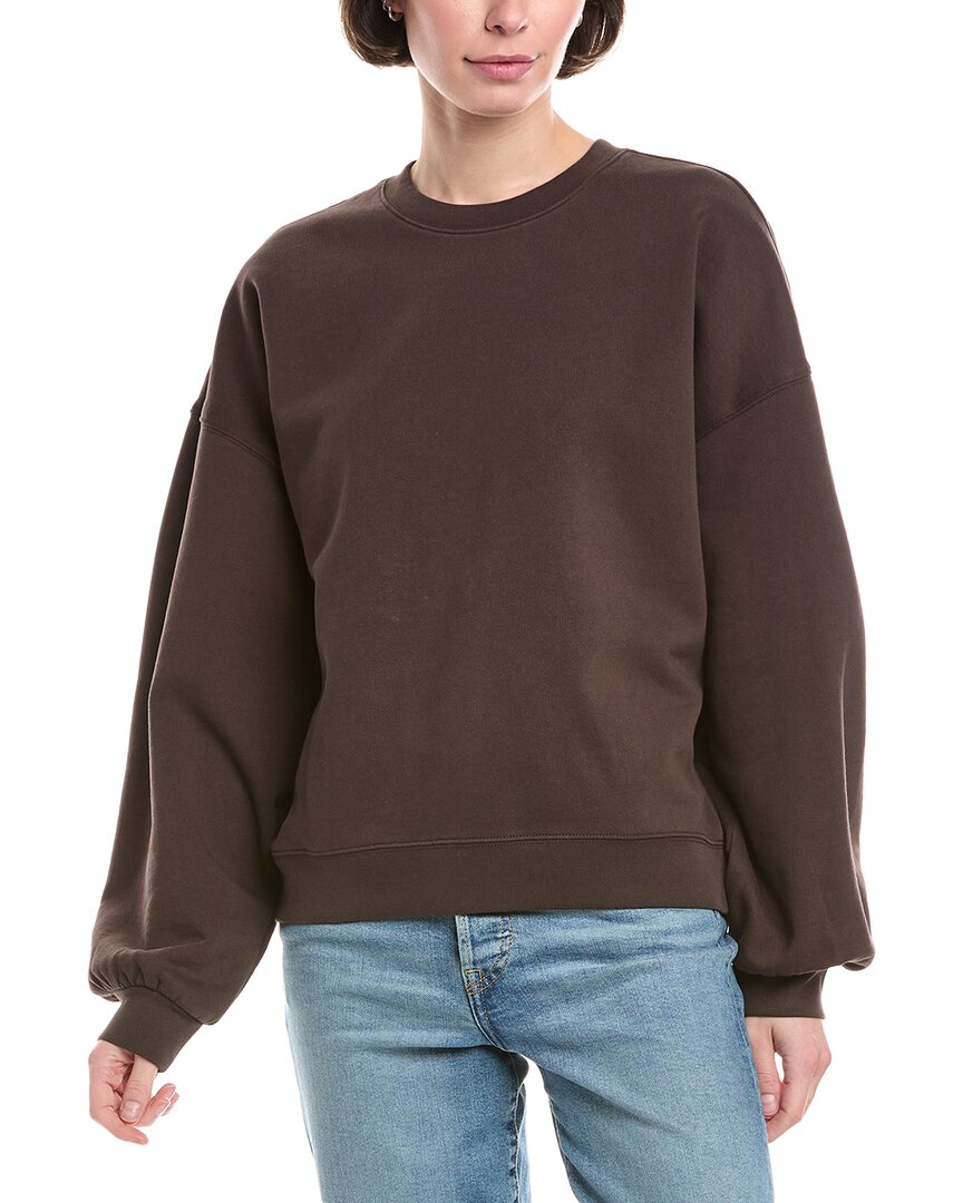 XSmall - brown