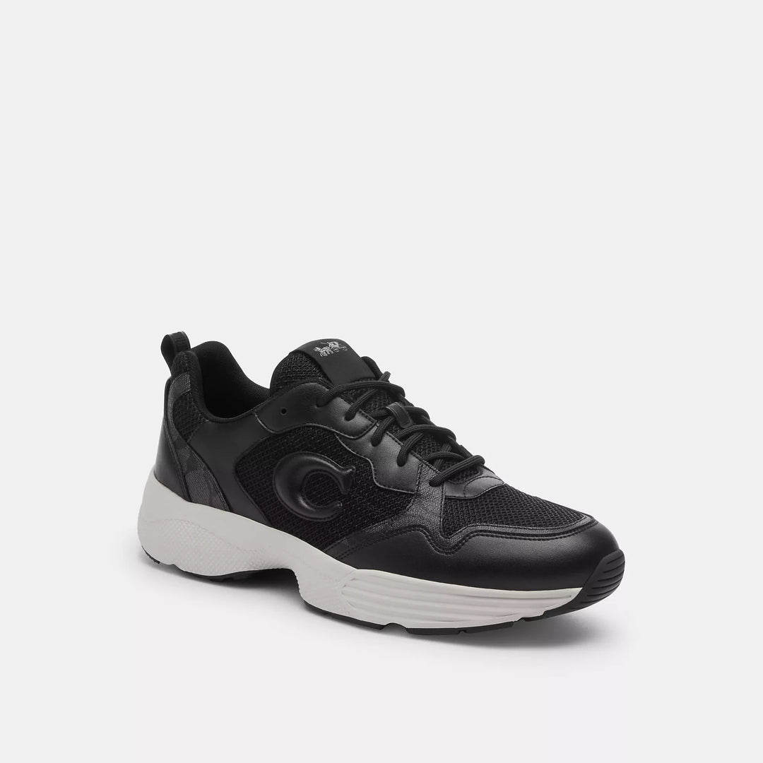 strider sneaker in signature canvas