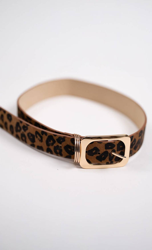 XSmall - cheetah