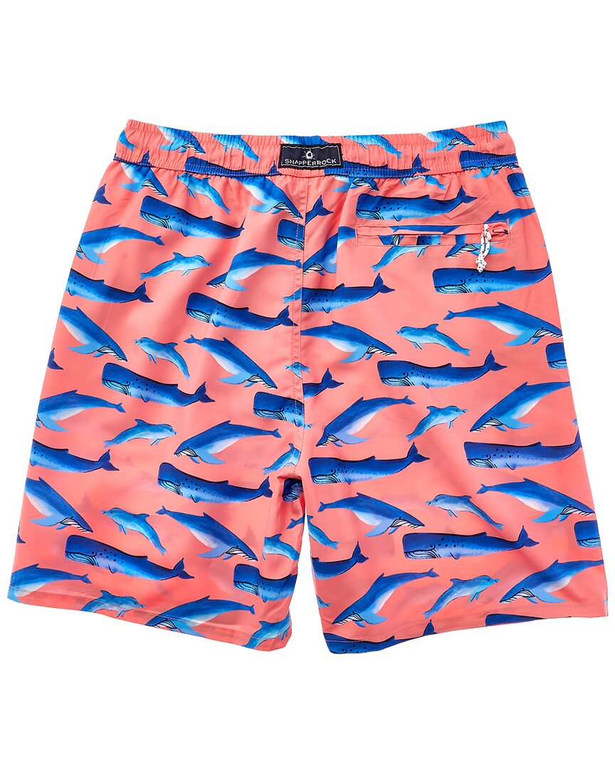 whale tail swim short