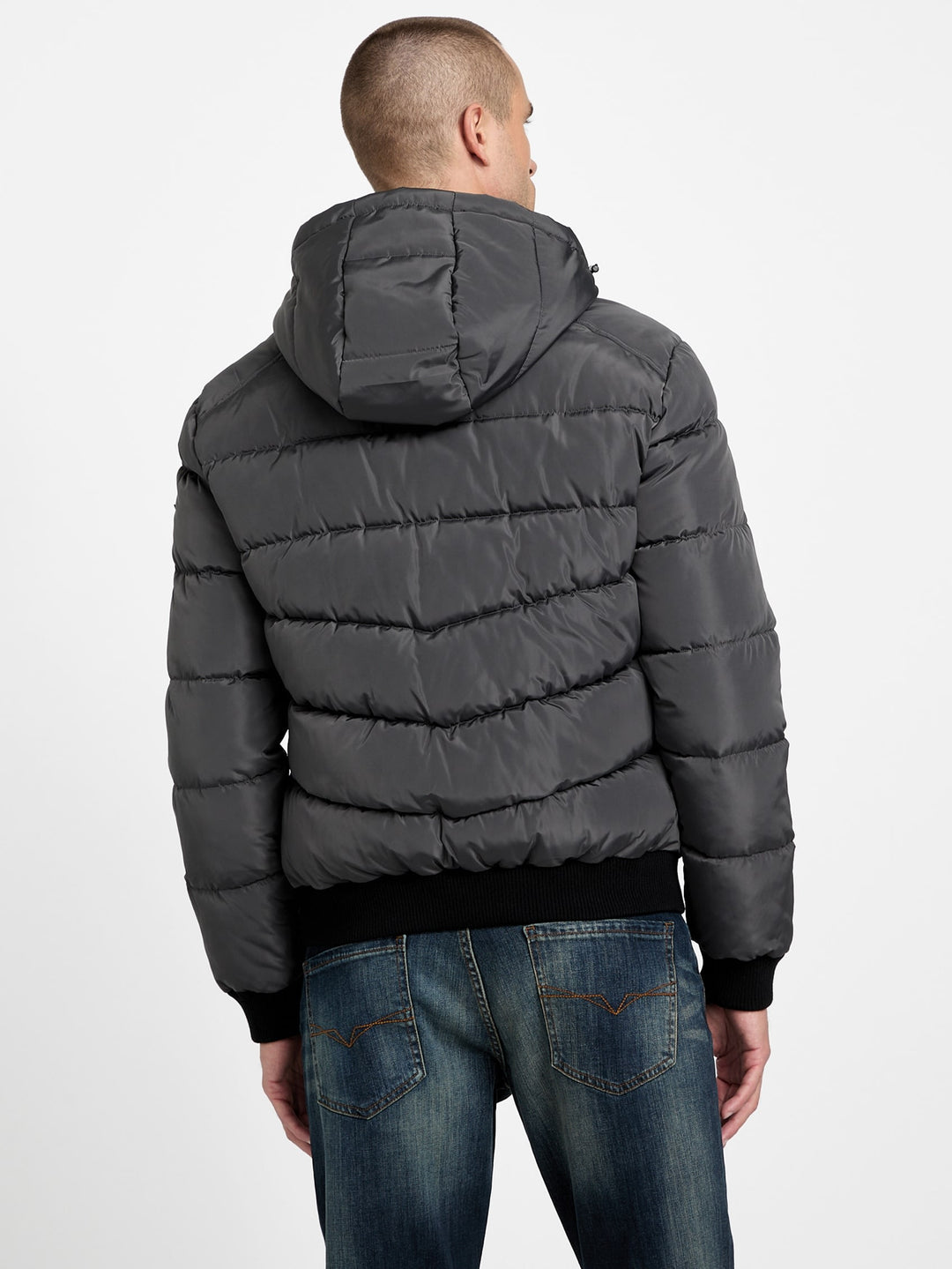 eco pietros padded hooded jacket