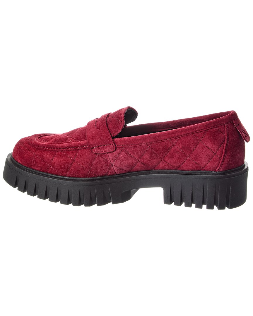 carolina suede loafer