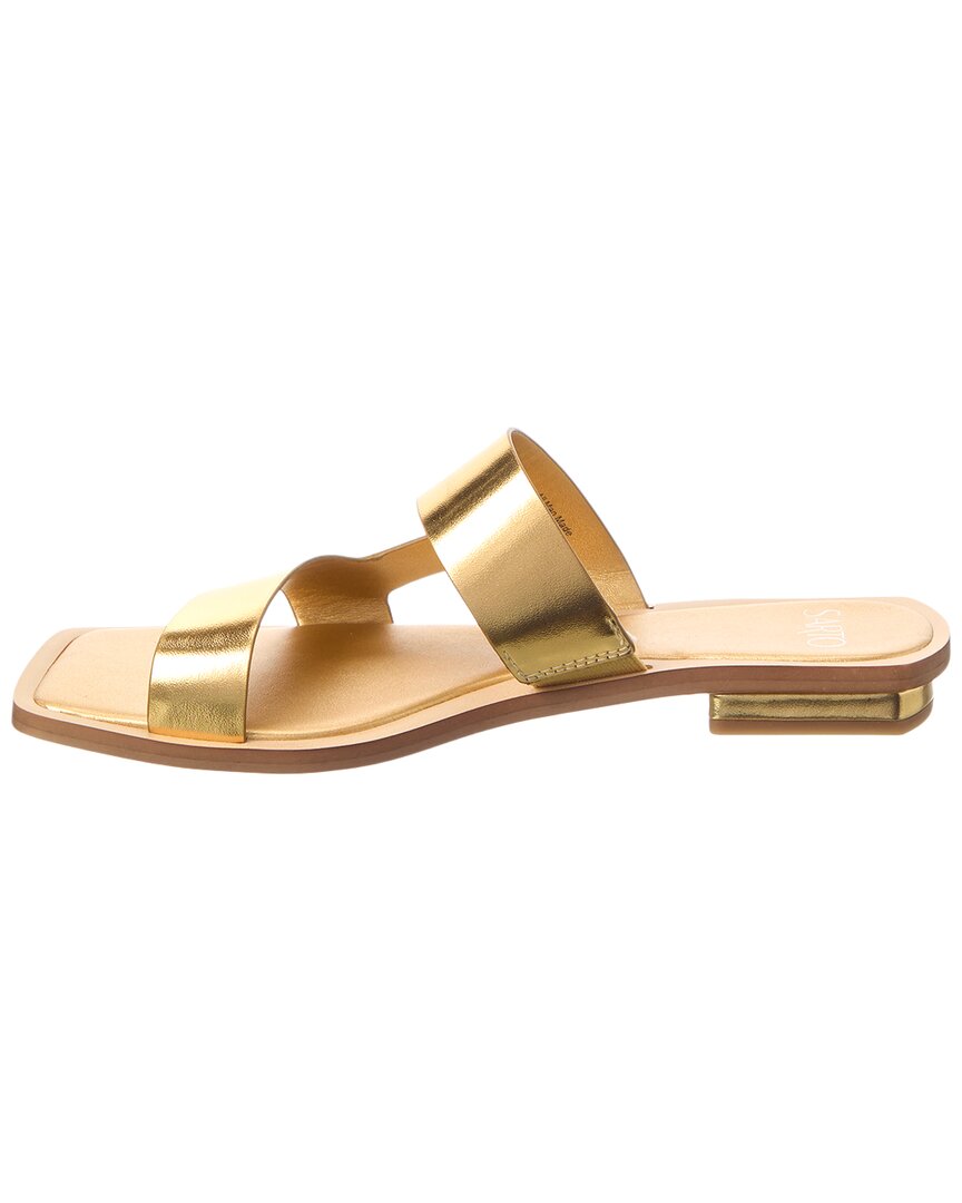 emily slide