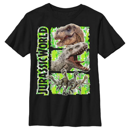 لوحات ديناصورات جوراسيك وورلد للأولاد من هاسكي