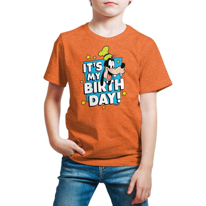 Boys' - Disney - Goofy It's My Birthday Short Sleeve Graphic T-Shirt