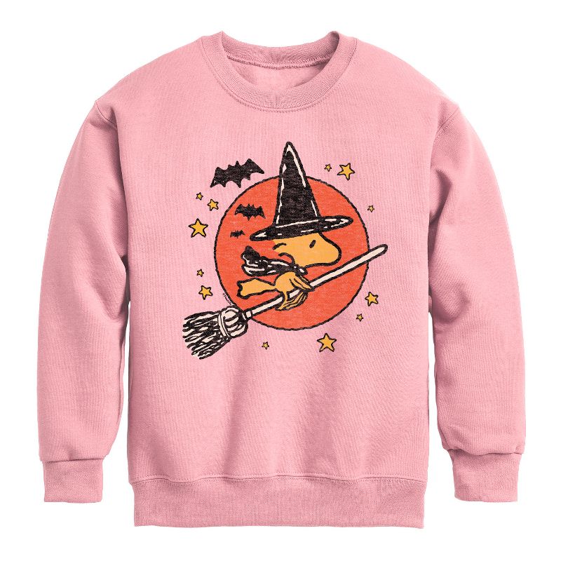 Boys' - Peanuts - Woodstock Witch Graphic Long Sleeve Fleece Sweatshirt