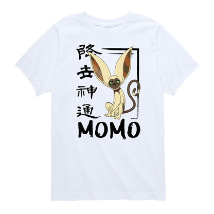 Boys' - Avatar: The Last Airbender - Momo Cute Short Sleeve Graphic T-Shirt