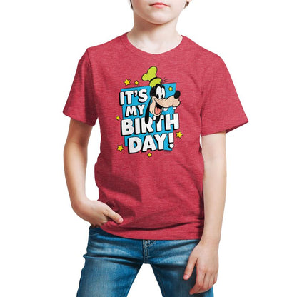 Boys' - Disney - Goofy It's My Birthday Short Sleeve Graphic T-Shirt