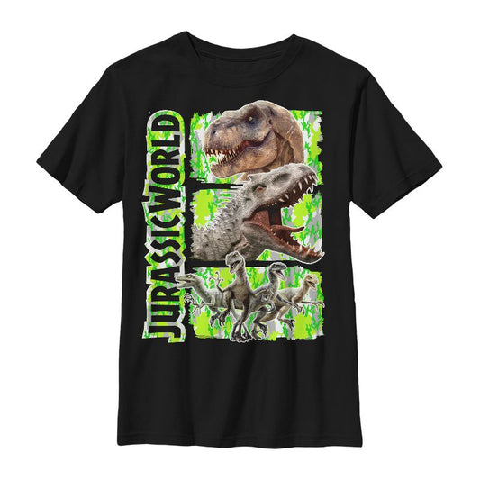 Boy's Jurassic World Dinosaur Panels T-Shirt