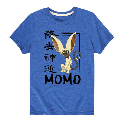 Boys' - Avatar: The Last Airbender - Momo Cute Short Sleeve Graphic T-Shirt