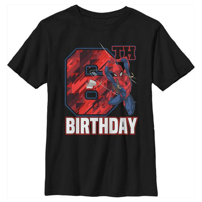 Boy's Marvel 6th Birthday Spidey T-Shirt