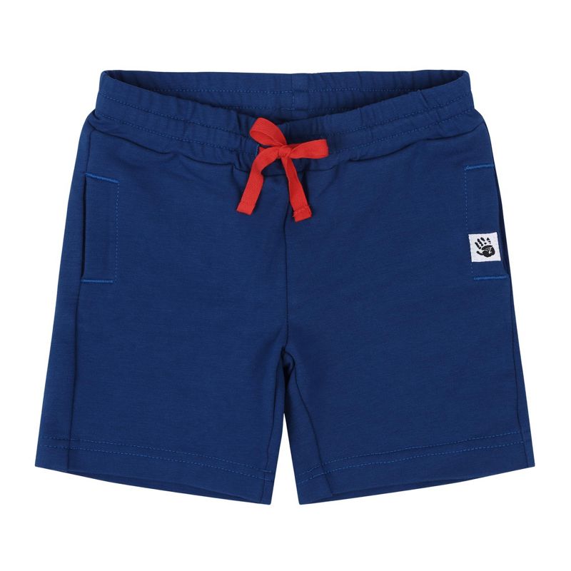 Mixed Up Clothing Boys Sweatshorts - Sodalite Blue