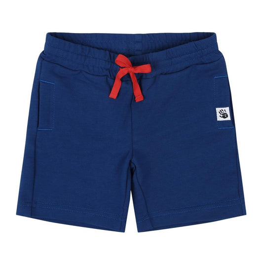 Mixed Up Clothing Boys Sweatshorts - Sodalite Blue