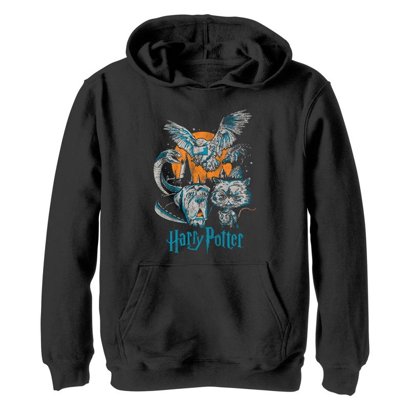 Boy's Harry Potter Night Animals Pull Over Hoodie