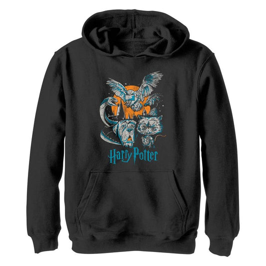 Boy's Harry Potter Night Animals Pull Over Hoodie