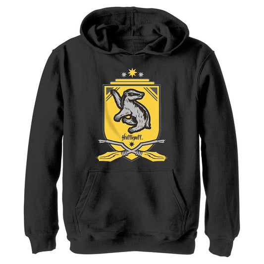 Boy's Harry Potter Quidditch Hufflepuff Team Crest Pull Over Hoodie