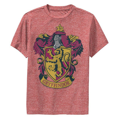 تي شيرت هاري بوتر جريفندور المزخرف للأولاد