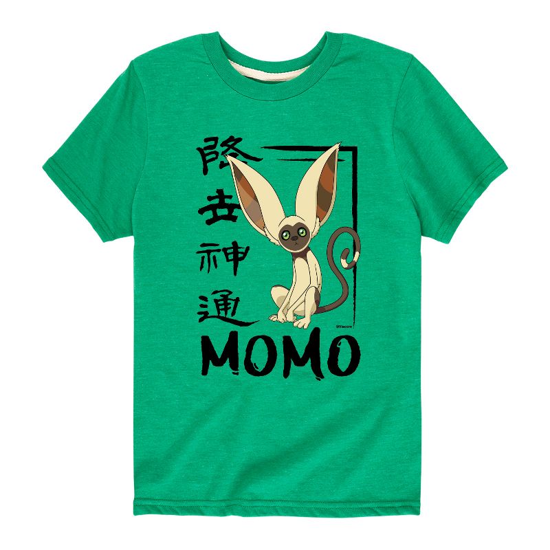 Boys' - Avatar: The Last Airbender - Momo Cute Short Sleeve Graphic T-Shirt