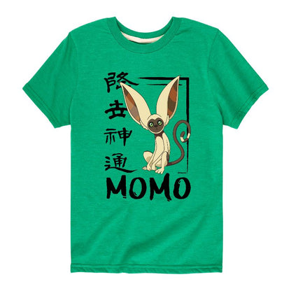 Boys' - Avatar: The Last Airbender - Momo Cute Short Sleeve Graphic T-Shirt