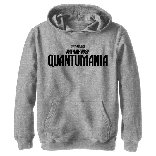 Boy's Ant-Man and the Wasp: Quantumania Movie Logo Black Pull Over Hoodie