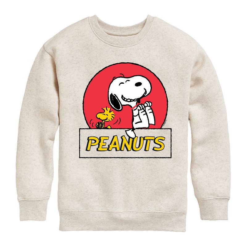 Boys' - Peanuts - Snoopy Woodstock Circle Graphic Long Sleeve Fleece Sweatshirt