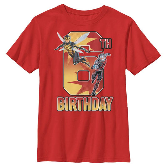 Boy's Marvel Ant-Man & Wasp 6th Birthday T-Shirt