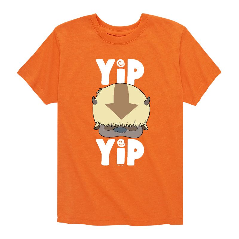 Boys' - Avatar: The Last Airbender - Cute Appa Yip Yip Short Sleeve Graphic T-Shirt