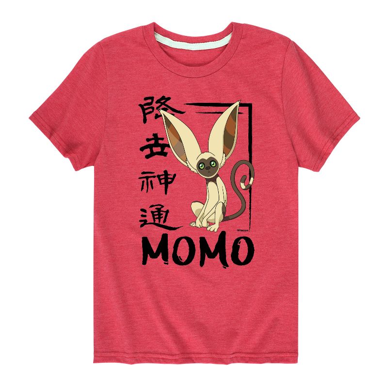 Boys' - Avatar: The Last Airbender - Momo Cute Short Sleeve Graphic T-Shirt