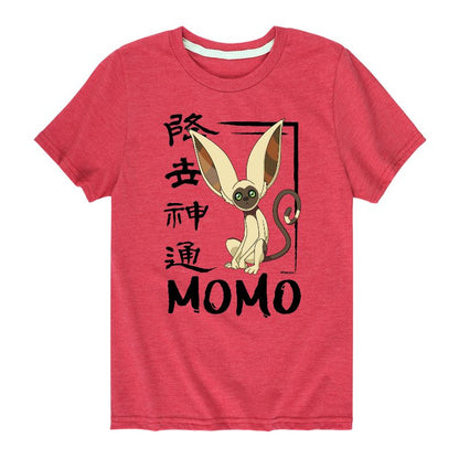Boys' - Avatar: The Last Airbender - Momo Cute Short Sleeve Graphic T-Shirt