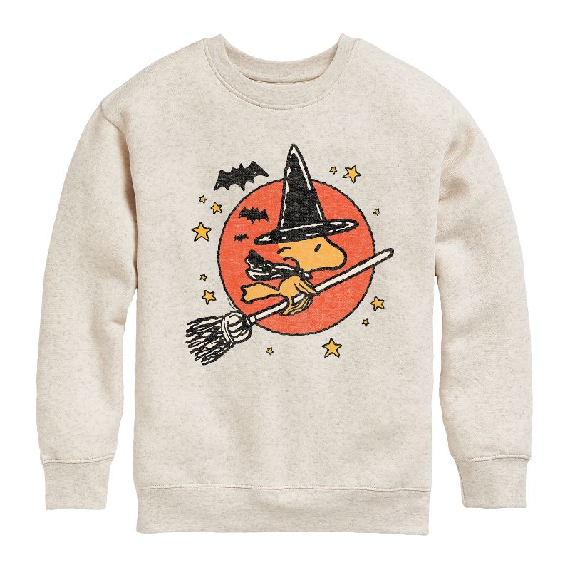 Boys' - Peanuts - Woodstock Witch Graphic Long Sleeve Fleece Sweatshirt