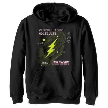 Boy's The Flash Vibrate Your Molecules Pull Over Hoodie