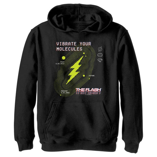 Boy's The Flash Vibrate Your Molecules Pull Over Hoodie