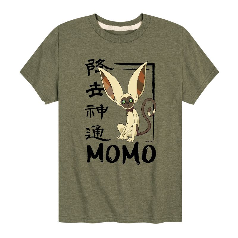 Boys' - Avatar: The Last Airbender - Momo Cute Short Sleeve Graphic T-Shirt