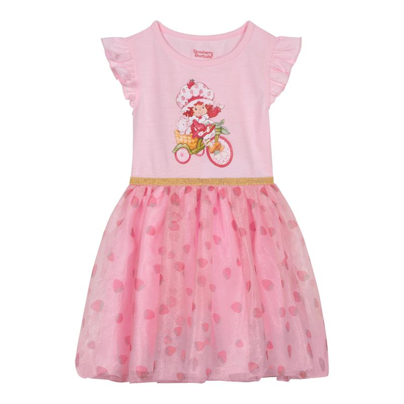 Strawberry Shortcake Tulle Dress Sizes (2T - 10-12)