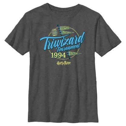 Boy's Harry Potter Triwizard Tournament Flag T-Shirt