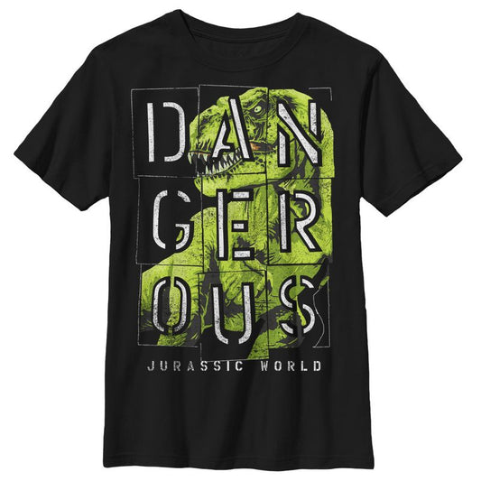 Boy's Jurassic World T. Rex Dangerous T-Shirt
