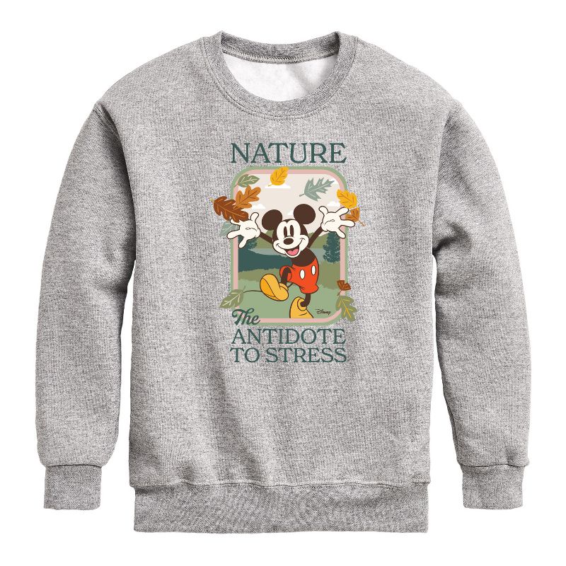 Boys' - Disney - Nature The Antidote To Stress Graphic Long Sleeve Fleece Sweatshirt