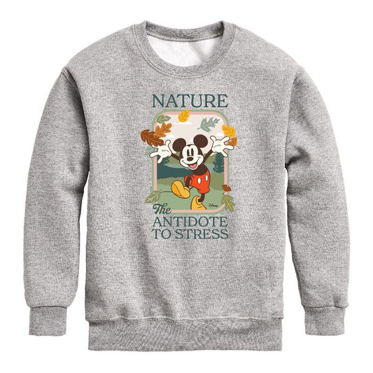 Boys' - Disney - Nature The Antidote To Stress Graphic Long Sleeve Fleece Sweatshirt