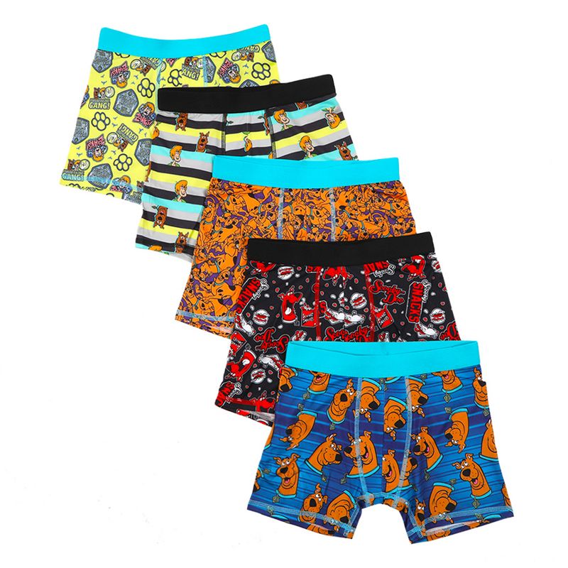 Scooby Doo Classic Cartoon Characters Boys Underwear 5pk Boxer Briefs Set