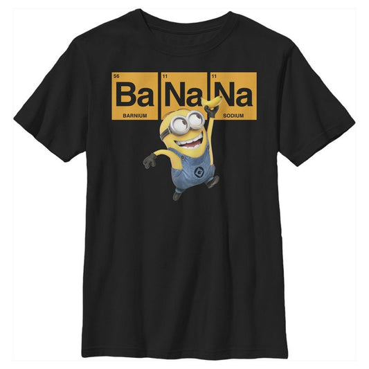 Boy's Despicable Me Minions Elements T-Shirt
