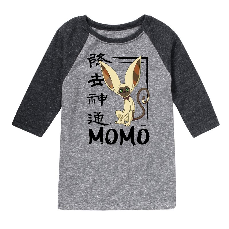Boys' - Avatar: The Last Airbender - Momo Cute Raglan Graphic T-Shirt