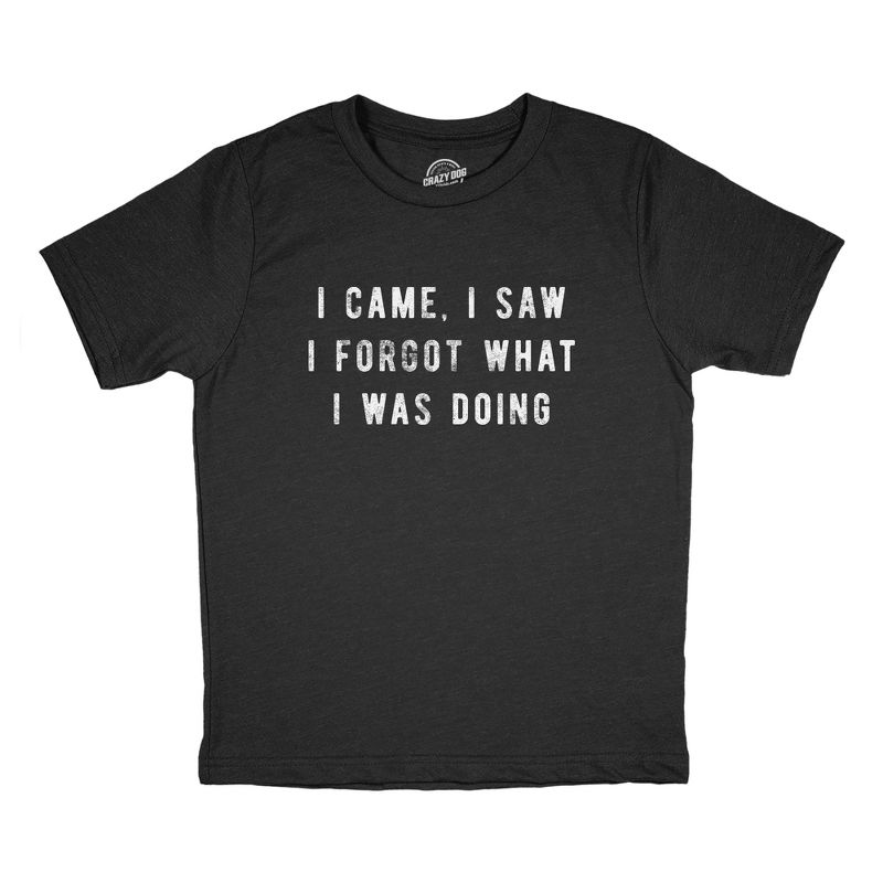 Youth I Came I Saw I Forgot What I Was Doing T Shirt Funny Short Term Memory Joke Tee For Kids - Crazy Dog Youth T Shirt