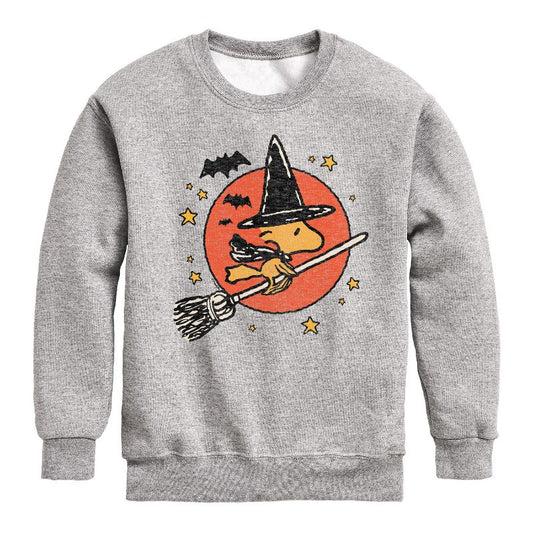 Boys' - Peanuts - Woodstock Witch Graphic Long Sleeve Fleece Sweatshirt