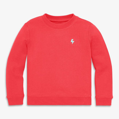 Primary Kids Embroidered Sweatshirt