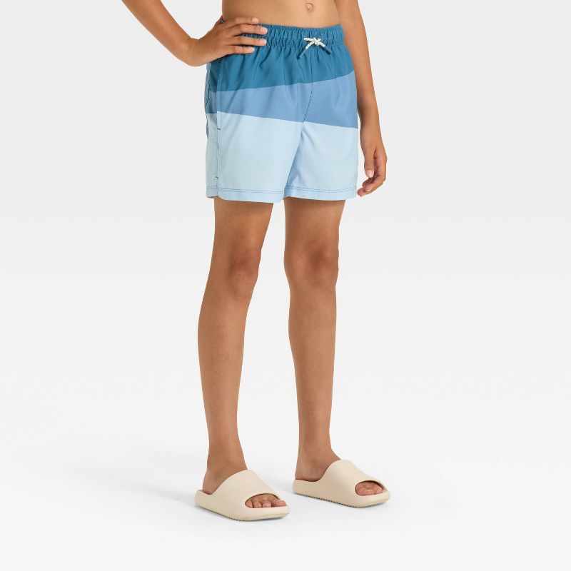 Boys' Tonal Colorblock Trunks - art class™