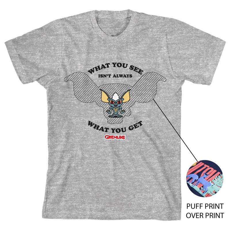 تي شيرت هيذر جراي للأولاد من Gremlins ما تراه ليس دائمًا ما تحصل عليه