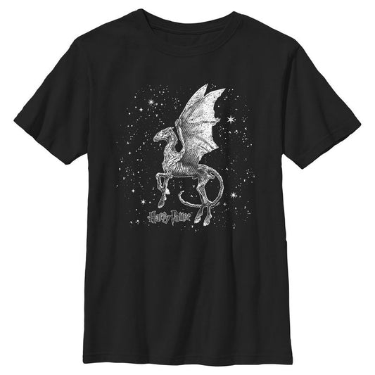 Boy's Harry Potter Black and White Thestral T-Shirt
