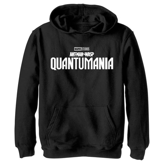 Boy's Ant-Man and the Wasp: Quantumania Movie Logo White Pull Over Hoodie